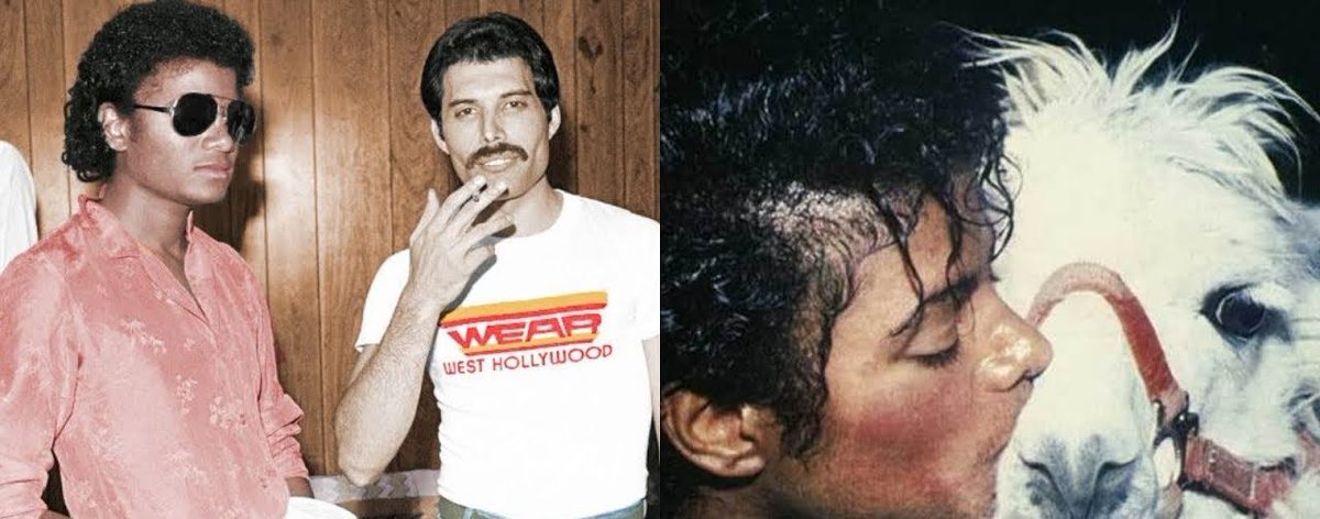 Bouteflikov's tweet photo. En 1980, Freddie Mercury et Michael Jackson travaillaient sur un album commun qui n'a jamais vu le jour. Ils se sont disputé car Michael ne supportait pas que Freddie se drogue tout le temps à la cocaïne, et Freddie ne supportait pas la présence du Lama de Michael dans le studio. https://t.co/nlZ324JkBn