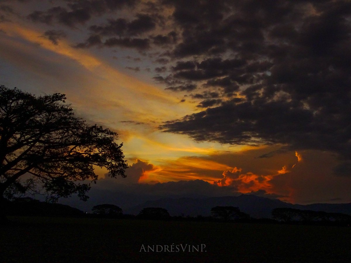 AndresVinP's tweet photo. Ceiba al atardecer.

#NaturalBeauty #Naturephography #Naturaleza https://t.co/tWwqeSd5Rf