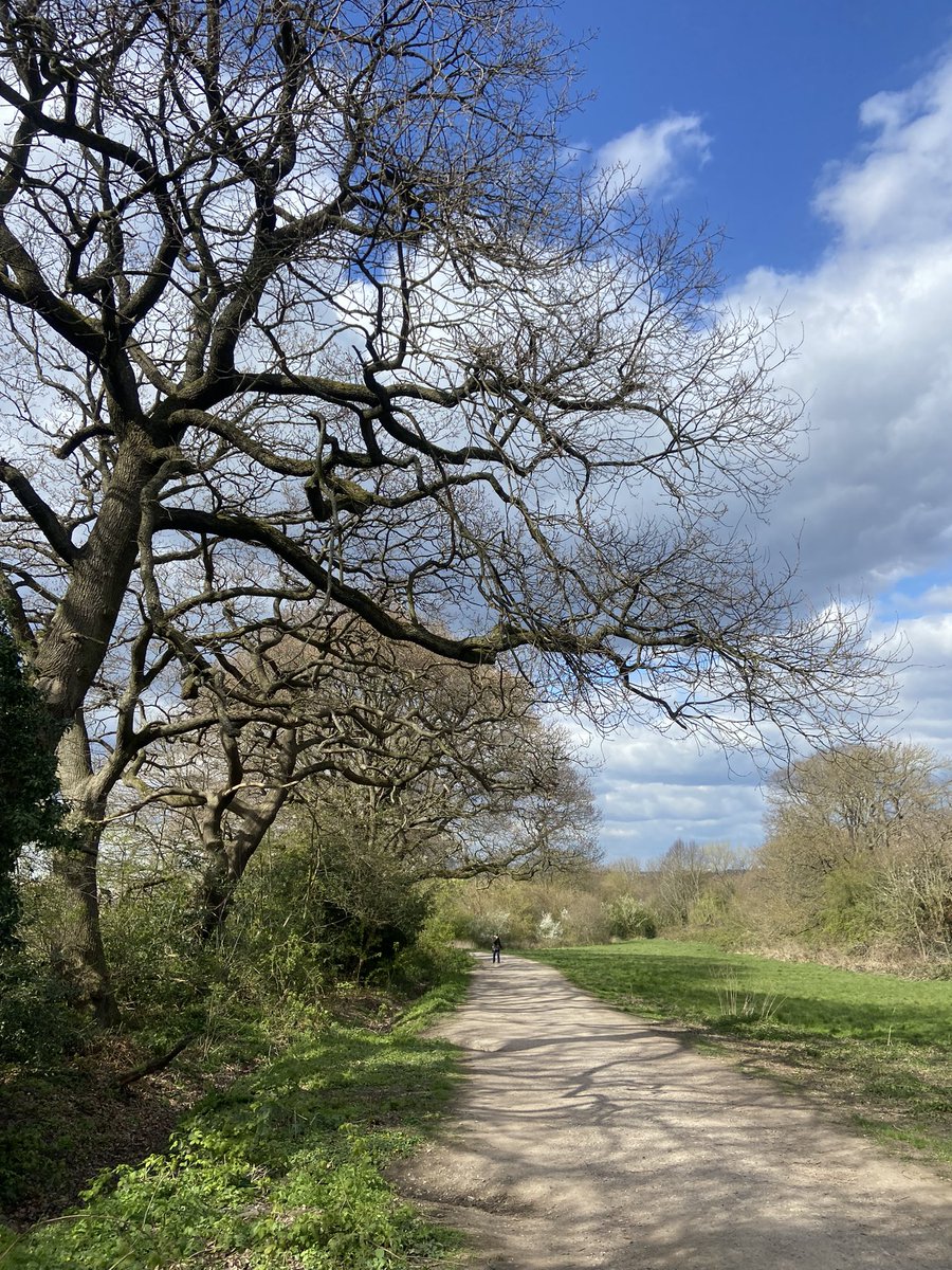 jack_marcher's tweet photo. Good walk this afternoon on #Finham from Hampstead Heath with @SlowWaysUK! It’s a verified route, but I found the plotting to be pretty inaccurate and hard to follow. Happy to try to propose an alternative! https://t.co/TOSQlIWcJ3