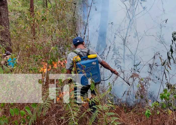 canaltn8's tweet photo. #AHORA #Nicaragua | Incendio arrasa con mas de 30 de manzanas en la comunidad de #Yucul, Bomberos, policía y brigadas apaga fuego trabajan para evitar que las llamas lleguen al Centro de la Reserva de Pinos de esa zona https://t.co/4Q85nWtbeX