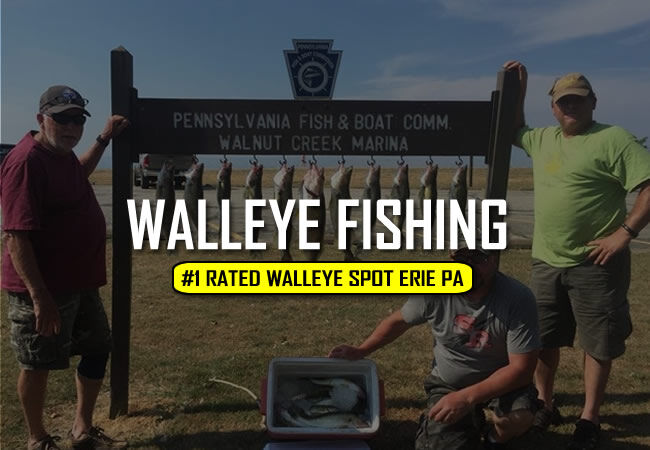 iOutdoor's tweet photo. The ice is starting to melt on #LakeErie and the #Walleye start to bite!  Start planning ahead for the season, #spots are limited!

Learn More 👉 https://t.co/Rzt92SGBg1

Tags: #walleyefishing #walleyenation #walleyerun #eriewalleye #lakeeriefishing #lakeerie #presquefishing https://t.co/VmjIXvosxc