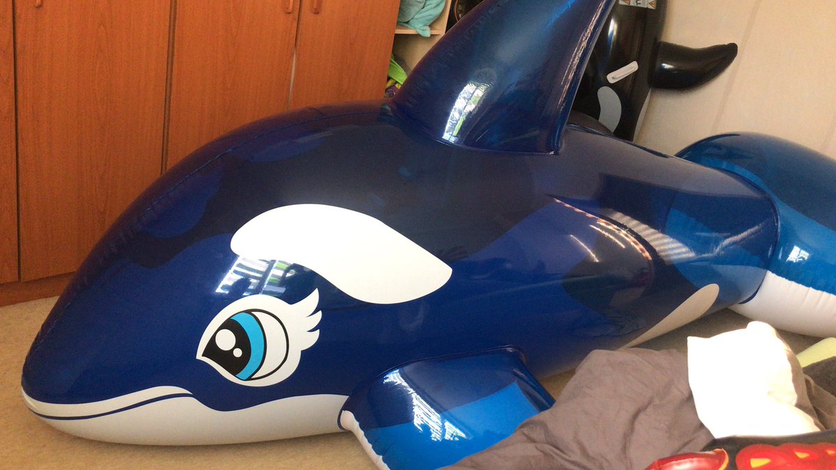 Jim (Evenaar) tweet media