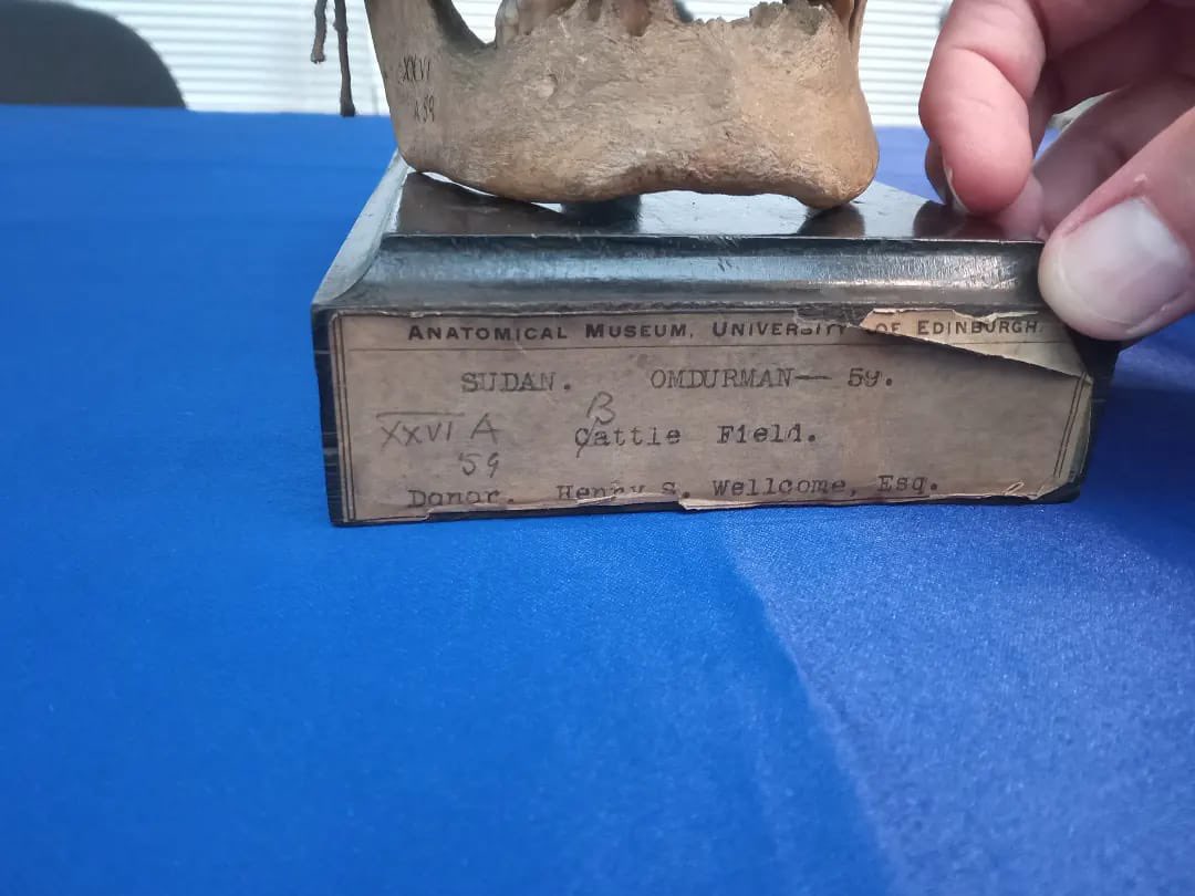 Thanks <a href="/TeviotPlace/">AnatomicalMuseum</a> for <a href="/SudanEdinburgh/">Sudanese Community</a> visit last week.
We saw our #Shaheed #skulls from #Omdurman 1898 + discussed #Reparations &amp; Repatriation
#Edinburgh #Sudanese Community Partnership is redressing the power dynamics between #Africans &amp; <a href="/EdinburghUni/">The University of Edinburgh</a> past, present &amp; future.