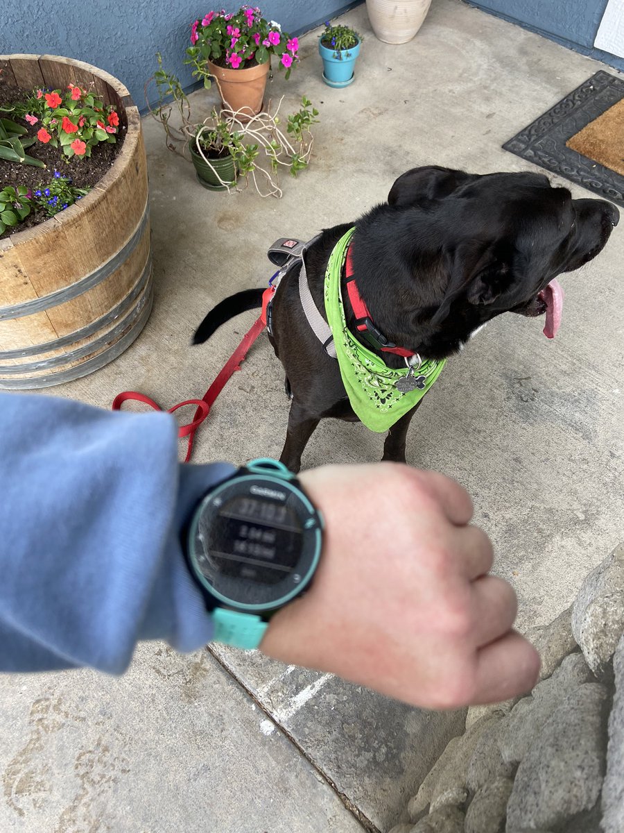 __meganhuston's tweet photo. A little late to start #RollingIntoApril, but the mutt and I got in today. @MarcusRLangford https://t.co/kbz9IpL8r7