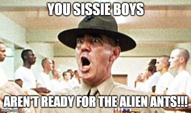 Sol_Alchemist's tweet photo. @AlienAntsGen1 #AlienAntsGoMoon #AAApoc #AlienAntAnthology #AlienAntCodes $AAA #survivorserver #Antkrieg #Antacalypse #chitchit #SolanaNFTs #ethereumNFTs #nfts #nfts #NFTCommunity https://t.co/iaT05hMpE3