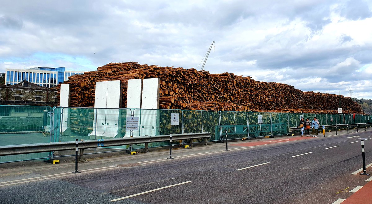 frank_oconnor's tweet photo. So that's where all our trees went 😳 #corkmissingtrees https://t.co/1u33oqLkKn