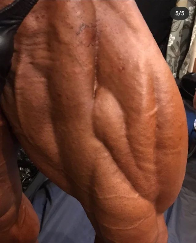 DreamerInthe's tweet photo. Chicken leg who? This enormous detailed tree trunk Quads has enough meat to feed a whole town for months! https://t.co/Vjg88fSPj8