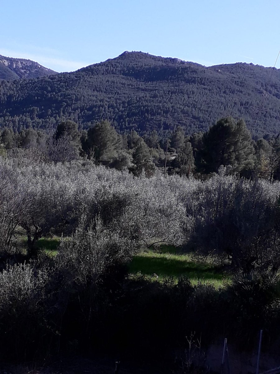 MERCE_G_T's tweet photo. Ahir, la meva mare, la Maria de Cal Nicasi, va baixar pel carrer de la Font de Vila-rodona per darrera vegada. Vam acompanyar-la fins a Toga, el poble del meu pare, l'Andreu, per descansar junts veient aquestes muntanyes. https://t.co/hdvcFjd92W