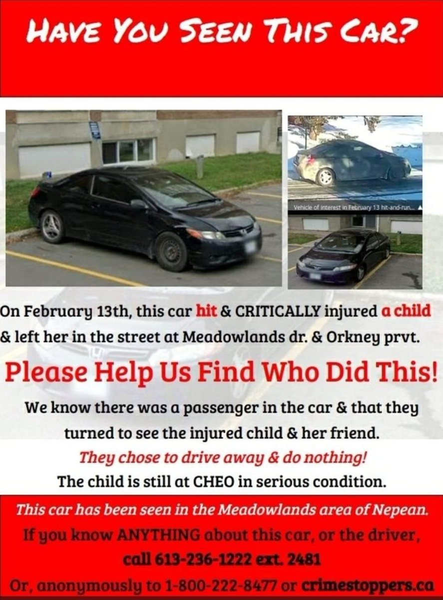 Justice For Serene tweet media