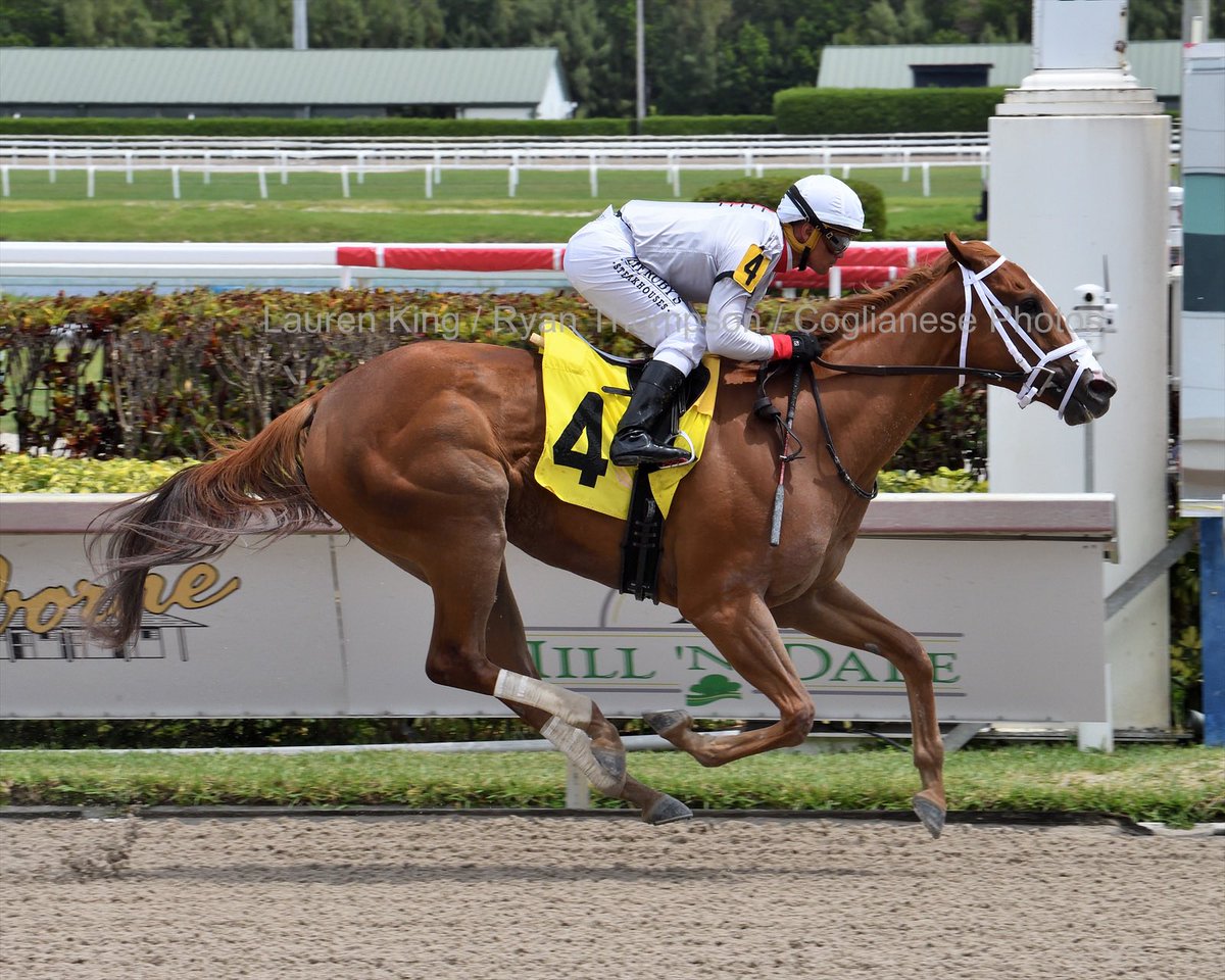 JFDAngelo's tweet photo. #3Apr Restless Eyes crushes her competition in the second race, ridden by Javier Castellano @jjcjockey at #GulfstreamPark
Congrats to owner Rumba Caliente Stable and @ProRacingStable
3️⃣0️⃣th victory for José Francisco D’Angelo #ChampionshipMeet
📸 @coglianesephoto https://t.co/7yLLB3czPT
