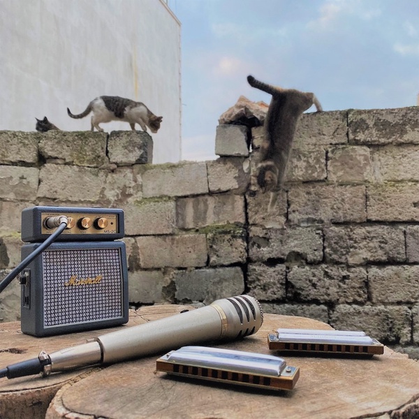 #OnAirNow Mechanical Rooster <a href="/MechyRooster/">Mechanical Rooster</a> @CrossroadsJan - Harmonicats, stream.zeno.fm/fuewdt68ckhvv IndieMUSIC mainstreamMUSIC Help keep the station going if you can donate here goodmusicradio.wixsite.com/gmrts