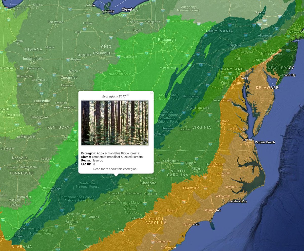 nickredmark's tweet photo. @EarthavenE Ecovillage, context profile

According to Wikipedia, the first Ecovillage in North America.

Founded: 1995
Area: 329 acres
Members: 75 adults, 25 children
River basin: Santee (2 ecovillages)
Ecoregion: Appalachian-Blue Ridge forests (~8 ecovillages) https://t.co/s5ljEIfWRO