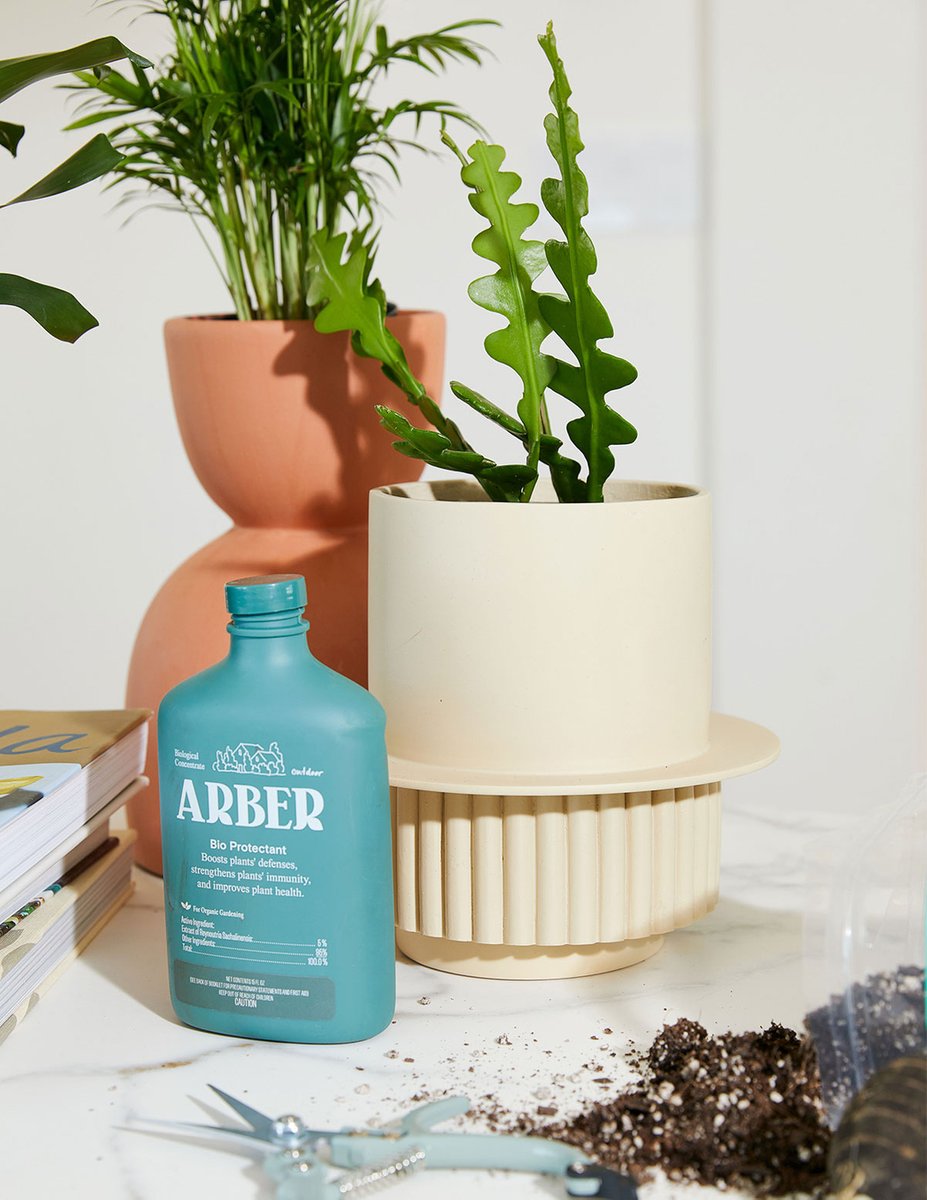 TheSill's tweet photo. Free spring workshops are now posted on The Sill! 
By popular request—join us for a Pest &amp; Disease prevention workshop with Vanessa, the founder, and CEO of @growarber on April 14th at 7pm.
https://t.co/xMNUFiLDyJ https://t.co/mz6FhJyEbS