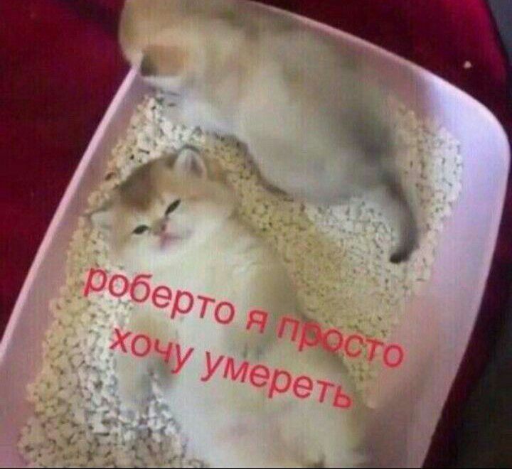 Ako_chan08's tweet photo. @mrsolyy Что такое выходные? https://t.co/HLa4xhLprf