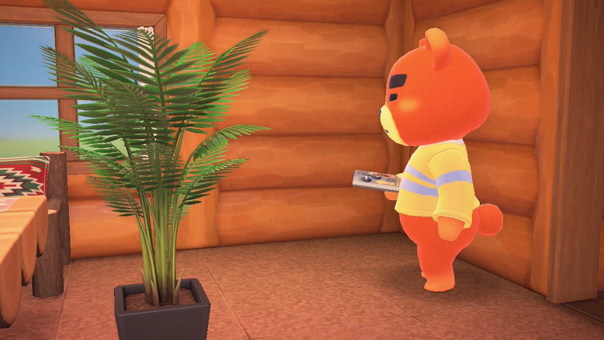 supashleyc's tweet photo. welcome home, Teddy 🐻🧡 oh gosh, I love the jocks 💪😁
#acnh #AnimalCrossing #acnhteddy #Sinnoh https://t.co/xhlm23nbgx