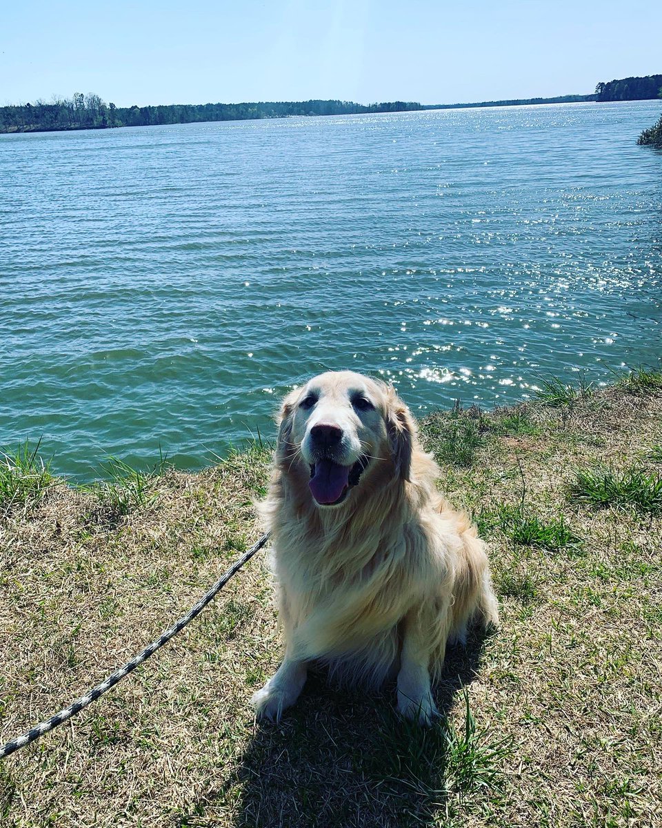 TuckyDav's tweet photo. Went for a hike today. Old man’s still got it! (Now I need a nap) https://t.co/5ndCDt30dV