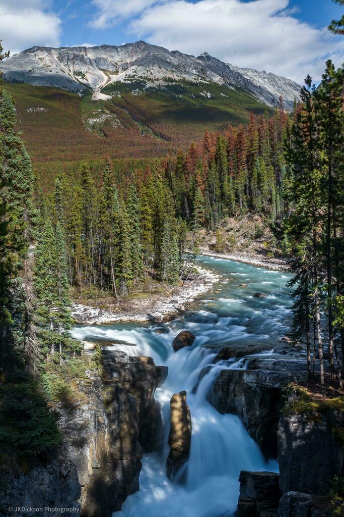 SmokinBulldozer's tweet photo. #Sunwapta Falls, Alberta, Canada [OC] [2475x3712] https://t.co/fH7stuDM1F