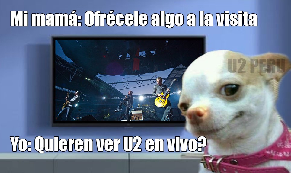 u2peru's tweet photo. Cualquier parecido con la realidad es mera coincidencia... 😬
#U2 #U2meme #U2Peru #U2humor #humor #meme https://t.co/idTVbVORem