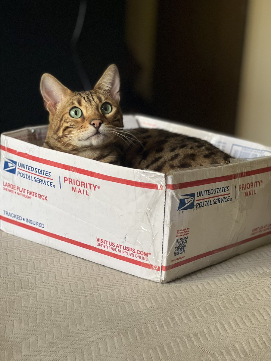 TerryJOnAir's tweet photo. Hey @USPS how many stamps am I going to need for this bad boy?! https://t.co/AOlJhibgHg