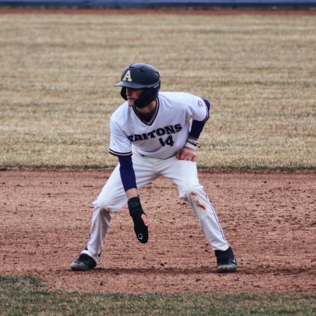Albion Athletics tweet media