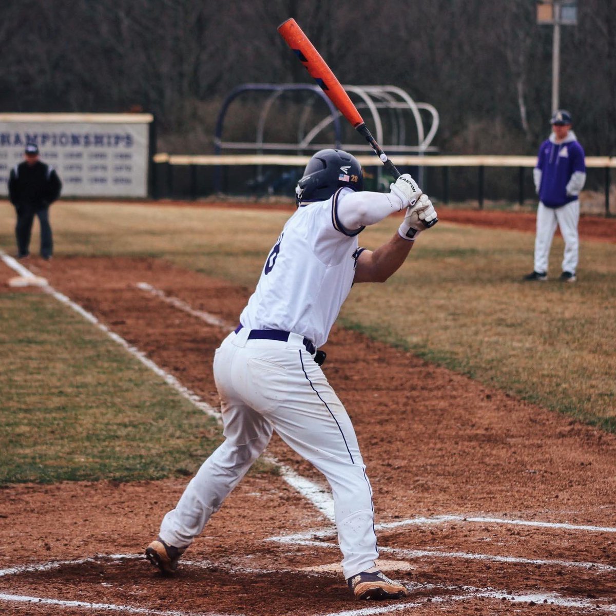 Albion Athletics tweet media