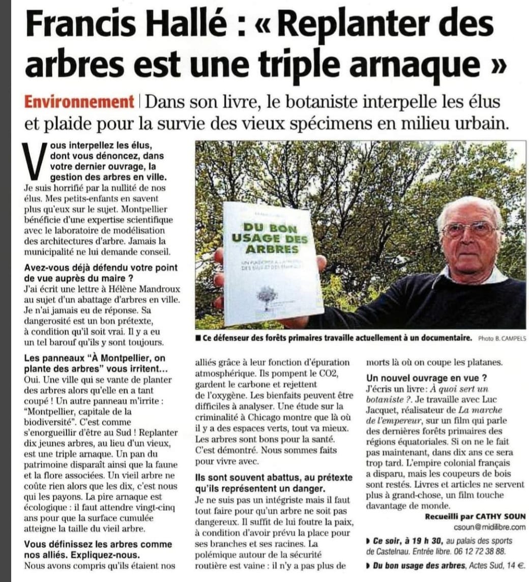 TanguiLeDantec's tweet photo. "Replanter 10 jeunes arbres au lieu d'un vieux est une triple arnaque. Un pan du patrimoine disparaît, ainsi que la faune et la flore associées. (...) La pire arnaque est écologique: il faut attendre 25 ans pour que la surface cumulée atteigne la taille du vieil arbre." -F. Hallé https://t.co/sjAQ4fwXcY