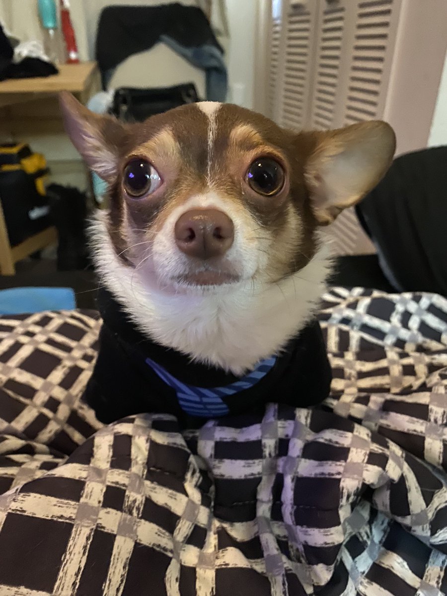 Went to try new Starbucks location.  Took subway there then upon arrival the manager treated mommi so rude like we street person and demand we get out or they call cops.  No puppicino for me