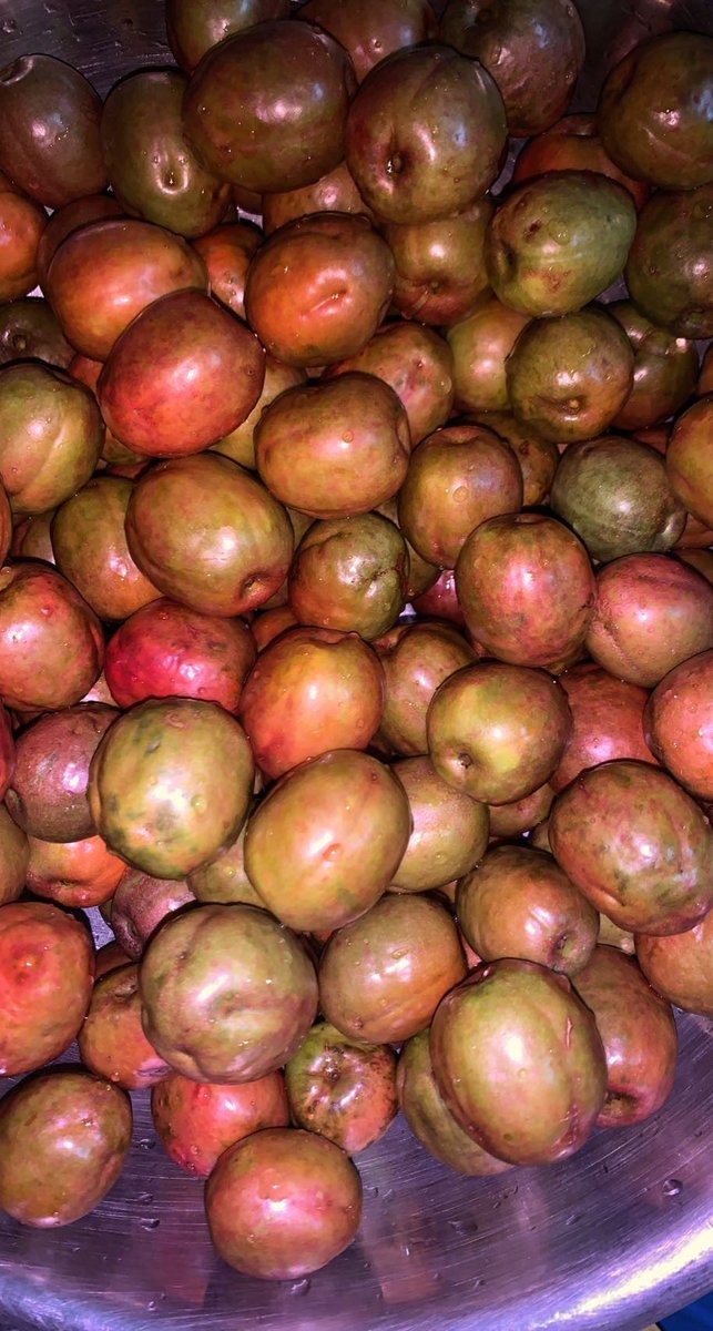 DesperateGossip's tweet photo. Verdes o maduras , no importa . La época los de #Jocotes o #Ciruelas está aquí y la amo. https://t.co/FxMQOZg3uz