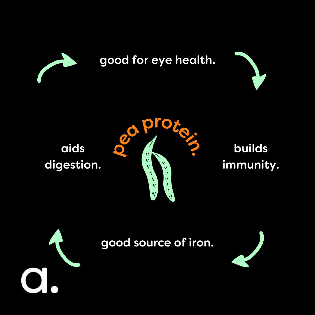 Abnormal_UK's tweet photo. Pea protein is a high-quality protein and a great source of iron. It can aid muscle growth, weight loss and heart health💪
-
Access your 7 personalised abnormal. meals here:  https://t.co/Z9nmGGpgjU🍃

#abnormal #nutrition #lifestyle https://t.co/vswoaU15CT