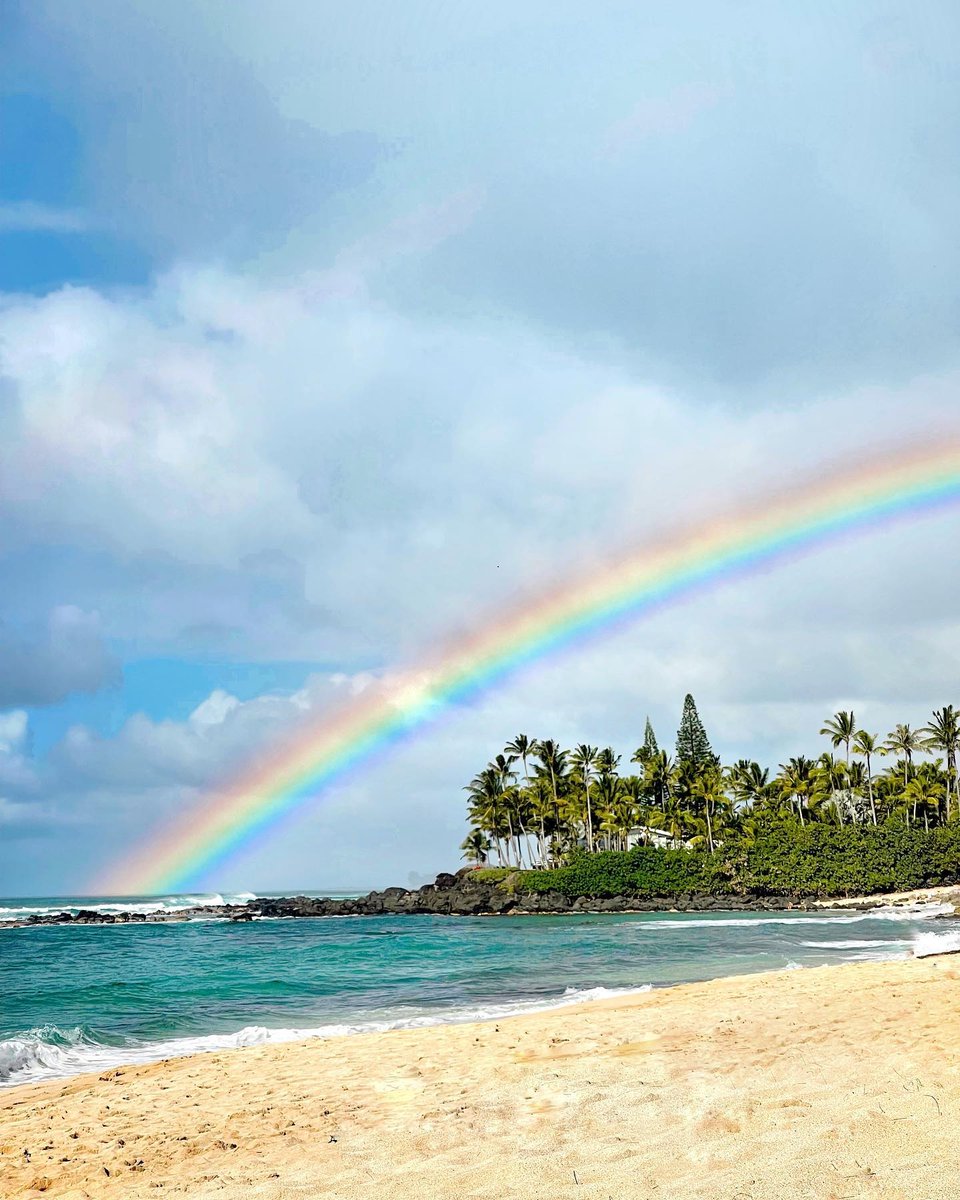 pacificmusicHI's tweet photo. Today is the perfect day to hunt for rainbows because it’s #NationalFindARainbowDay 🌈 

Add some color to your summer at #pacificmusicinstitute

 📷 IG: inesduhard

#rainbow #alohawaii #alohaspirit #livealoha #beachday #beach #hawaiilove #夏威夷 #アロハ #ハワイ #하와이 #알로하 https://t.co/2HZOBjXdmB