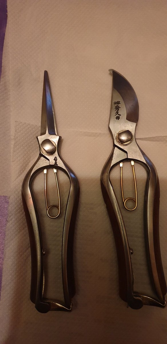 dustymears's tweet image. Cleaned the @NiwakiHQ #kurumi #secateurs were filthy. Now satisfyingly clean &amp;amp; sparklie with #camelliaoil &amp;amp; #cleanmate stone #rocknroll Friday night. #thingsofbeauty love them