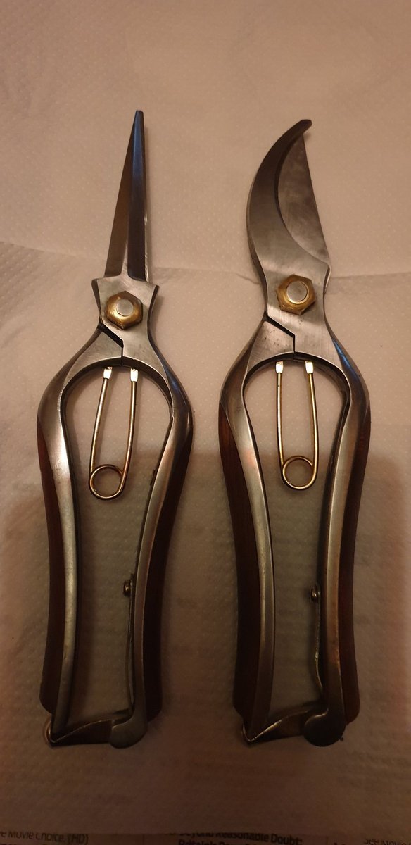dustymears's tweet image. Cleaned the @NiwakiHQ #kurumi #secateurs were filthy. Now satisfyingly clean &amp;amp; sparklie with #camelliaoil &amp;amp; #cleanmate stone #rocknroll Friday night. #thingsofbeauty love them