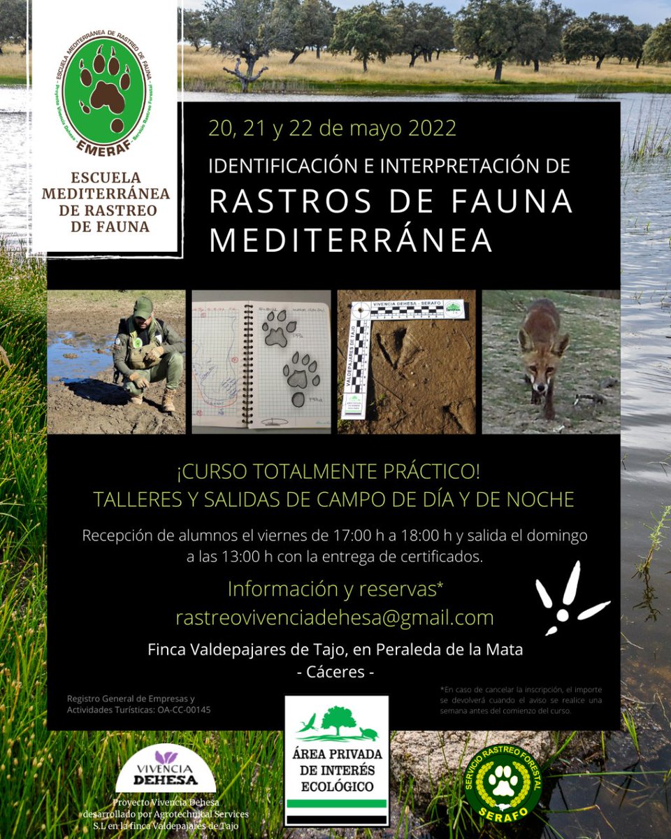 Vivencia_dehesa's tweet photo. Abierta la inscripción! Escríbenos a 𝗿𝗮𝘀𝘁𝗿𝗲𝗼𝘃𝗶𝘃𝗲𝗻𝗰𝗶𝗮𝗱𝗲𝗵𝗲𝘀𝗮@𝗴𝗺𝗮𝗶𝗹.𝗰𝗼𝗺 y te contamos todo.
Escuela Mediterránea de Rastreo de Fauna - #EMERAF, en Valdepajares de Tajo, Peraleda de la Mata, Cáceres. 
🌳 https://t.co/bB6FSUdKwR https://t.co/BWxeMPsN7K