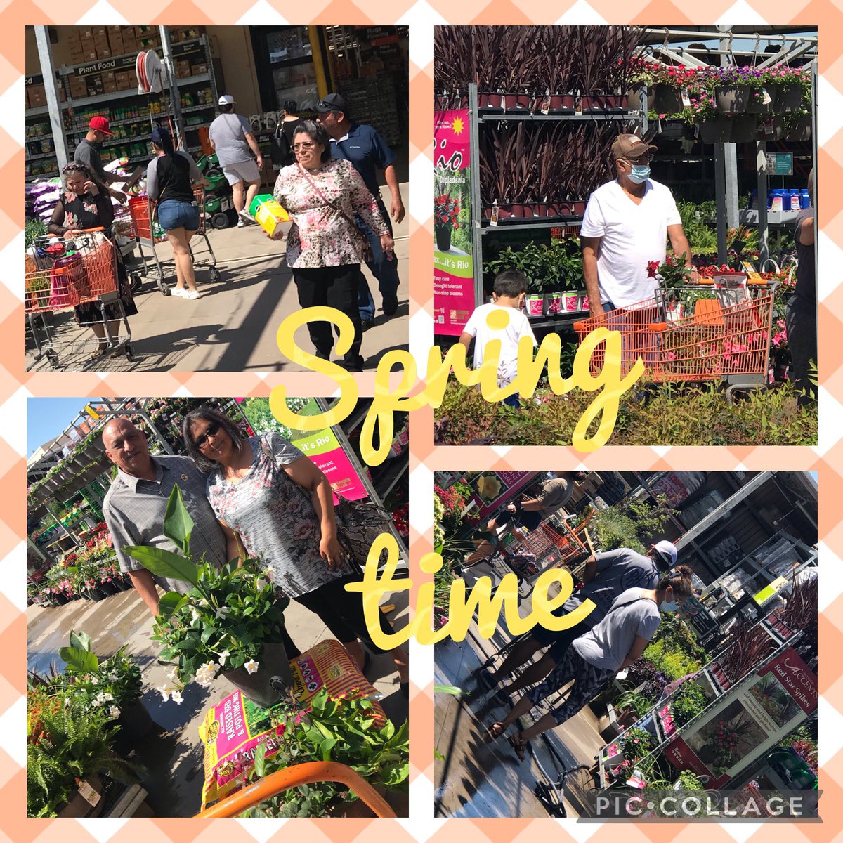 JennyBarnardFES's tweet photo. Flowers are blooming and gardens are growing. Great time to build customer relationship on the beautiful day🌺���🌹🌻#hd0569 @MichaelFloresHD @JarrodFarmer4 @Jerry_Smith_Jr @DIana_0569 @idrissi_mary @_mayra_valencia https://t.co/8HvpqGNRNv