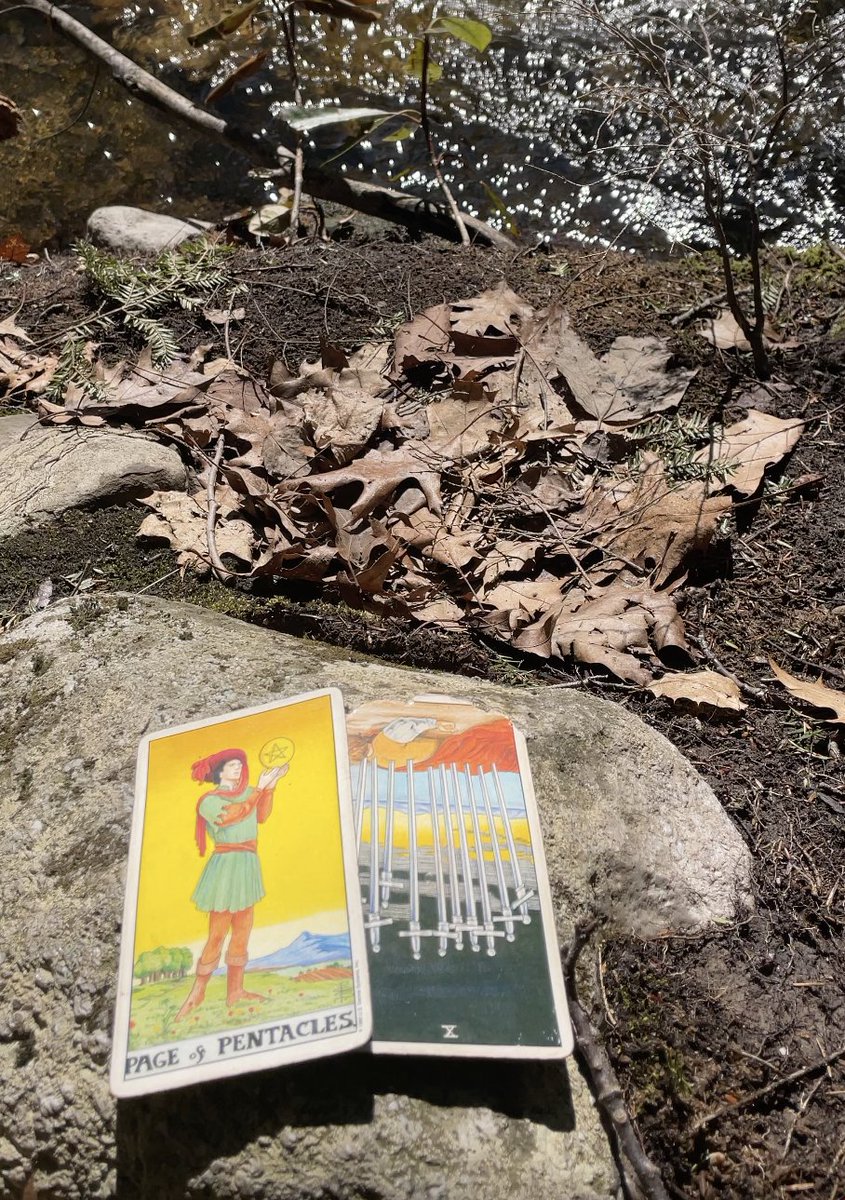 MalorineM's tweet photo. #Tarot Reading, week of April 3rd: #PageofPent + #10ofSwords rev. Well, hello opportunity. We have been collectively going through it. When Jupiter moved into Pisces in Dec.opposing the Virgo Ascendant it caused us to doubt our creativity, knowledge, beliefs and values. https://t.co/F6OPGtHcix