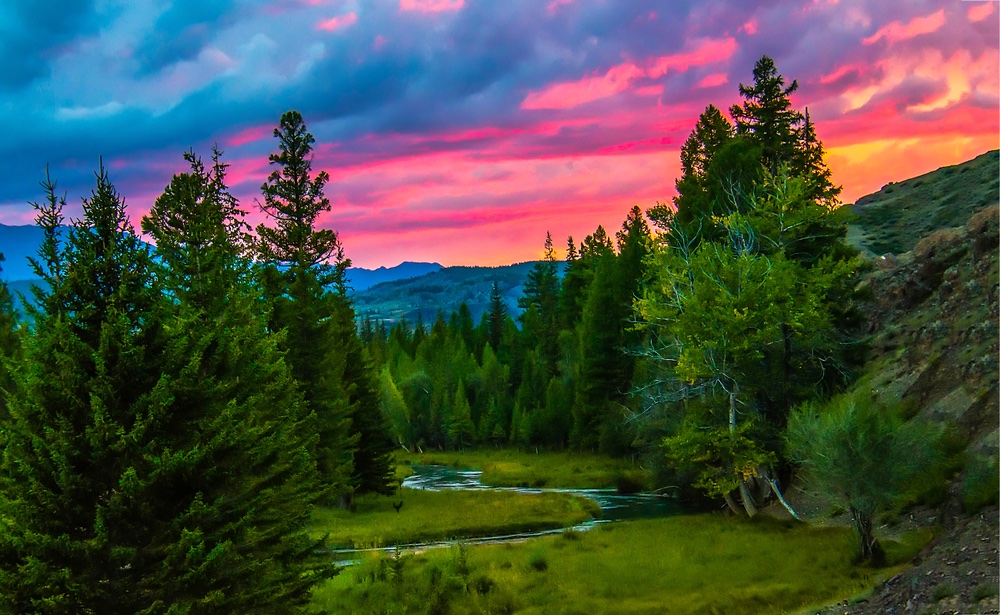 "The purpose of life is to live it, to taste experience to the utmost, to reach out eagerly and without fear for newer and richer experience.” Eleanor Roosevelt 💗

#quote #purpose #healthy #HealthCoach #MedTwitter #ThinkgBigSundayWithMarsha #healthylifestyle