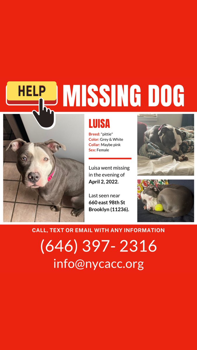 NYCACC's tweet photo. Help us find Luisa! https://t.co/Jlz4Vkqhuk