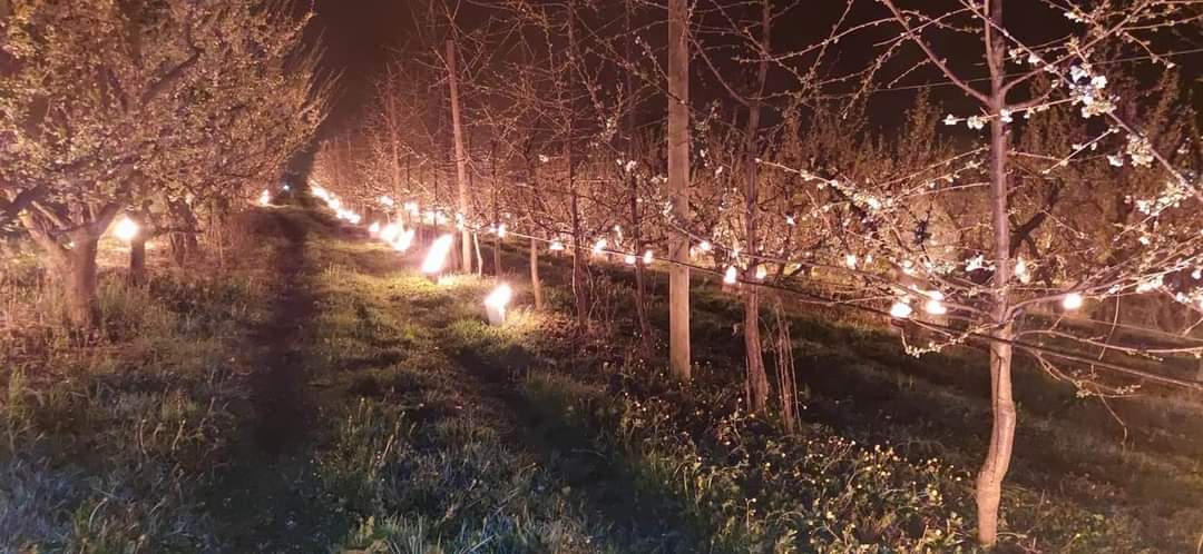 PascalCOSTE's tweet photo. Courage à tous les arboriculteurs et viticulteurs corrèziens qui lutte, cette année encore, contre le gel. Et le pire est encore à venir demain matin.
#jeluttecontrelegel sur🍏🍇
L’accès et le stockage de l’eau nécessaire à la protection antigel de notre nourriture produite en 🇫🇷 https://t.co/uTDJGaIElH