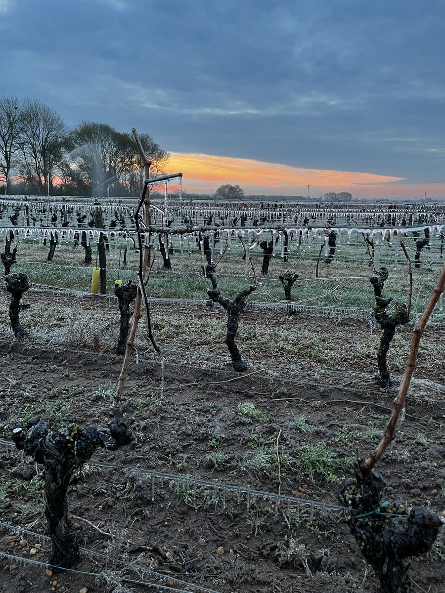 PascalCOSTE's tweet photo. Courage à tous les arboriculteurs et viticulteurs corrèziens qui lutte, cette année encore, contre le gel. Et le pire est encore à venir demain matin.
#jeluttecontrelegel sur🍏🍇
L’accès et le stockage de l’eau nécessaire à la protection antigel de notre nourriture produite en 🇫🇷 https://t.co/uTDJGaIElH