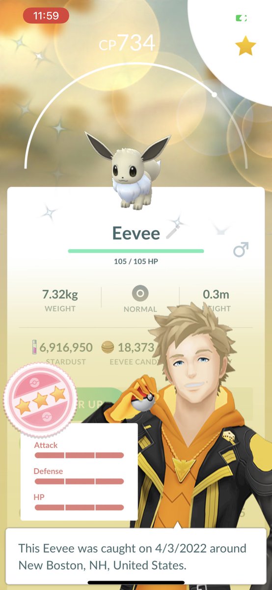 Pokemon Shiny Legend ✨ on X: Shiny #Eevee 🌟 #Pokemon #PokemonGO #shundo  #Shinycheck #shinyhunting #communityday #eevecommunityday   / X