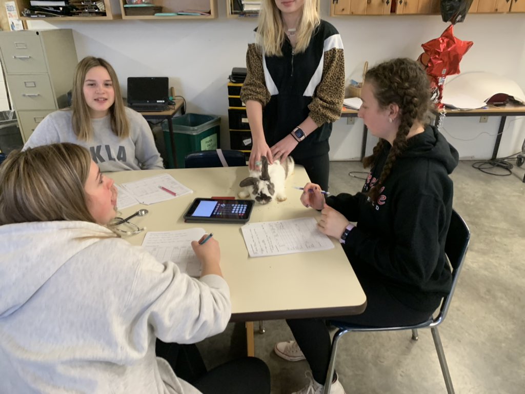 Lacey Walker tweet media