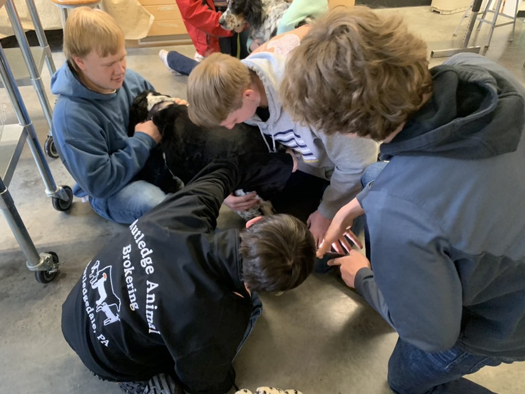 Lacey Walker tweet media