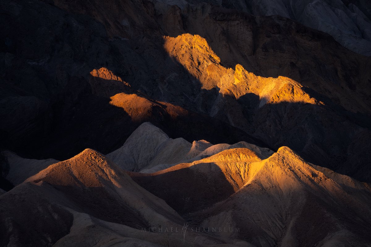 shainblum tweet picture
