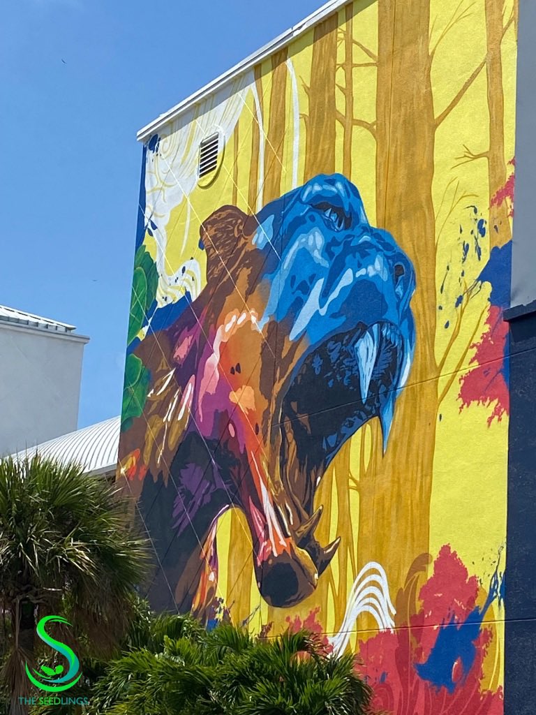 QueenSeedling's tweet photo. The Seedlings are still cruising around MIAMI NFT WEEK! They are killing it with all the street art @TheSeedlingsnft #MiamiNFTWeek #Mmemberville #HighTweeds #nftcollectors #NFTCommumity #NFTLaunch #Solana #blockchaintech #StreetArt #TheSeedlings #BudNeedsSol #CannabisCommunity https://t.co/r0vQauHMfH
