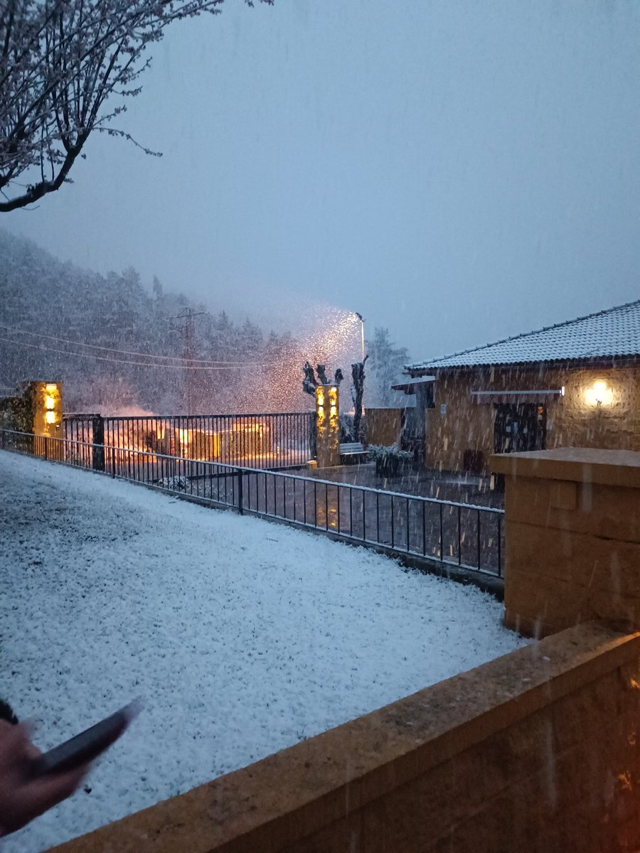 jotakea's tweet photo. Neu primavera... https://t.co/DOedSWTfnM