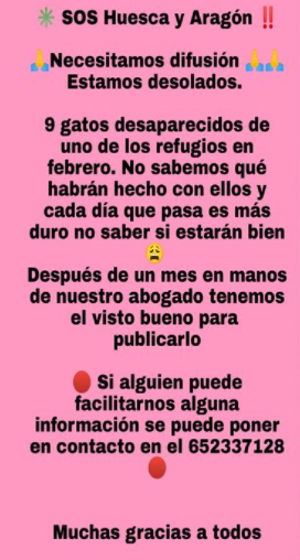 Erinia88958972's tweet photo. URGENTE🆘🆘
La protectora 'Adopciones Patitas' de #Huesca denuncia que han desaparecido 9 gatos de su refugio. No saben qué ha pasado con ellos. Están desesperadas. Buscan a gente que pueda darles información.
Teléfono de contacto y fotos de los gatos desaparecidos👇 https://t.co/t8CRRRfvsU