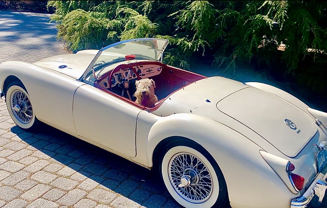 TerrierWheaten's tweet photo. Whose up for a spin in my Pappyโs ๐ 1961 MG? ๐
#1961MG
#convertiblecars https://t.co/1GMqGNPU52