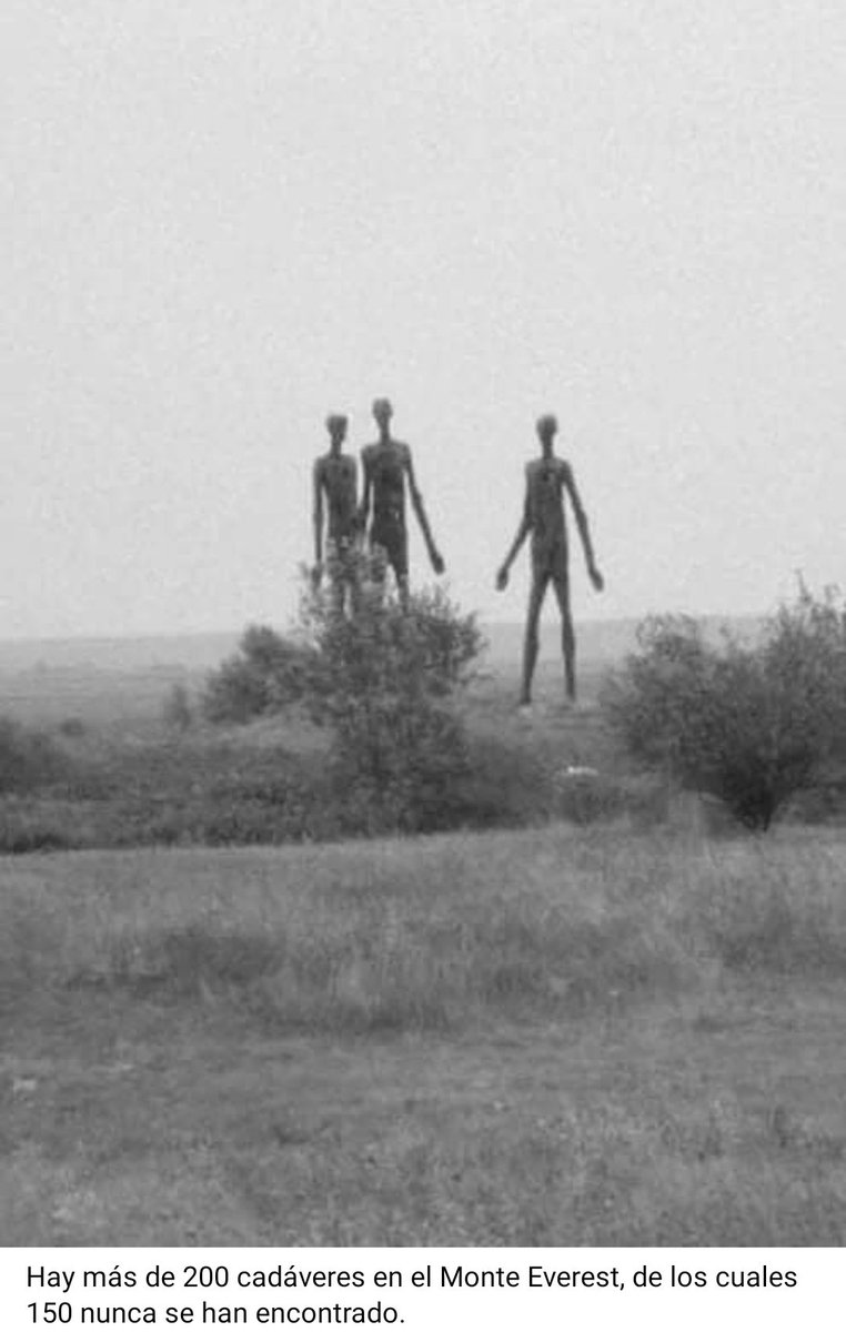 driabril7's tweet image. Abro hilo 🧵 Datos Perturbadores 👹🖤

Imágenes paranormales&amp;lt;33