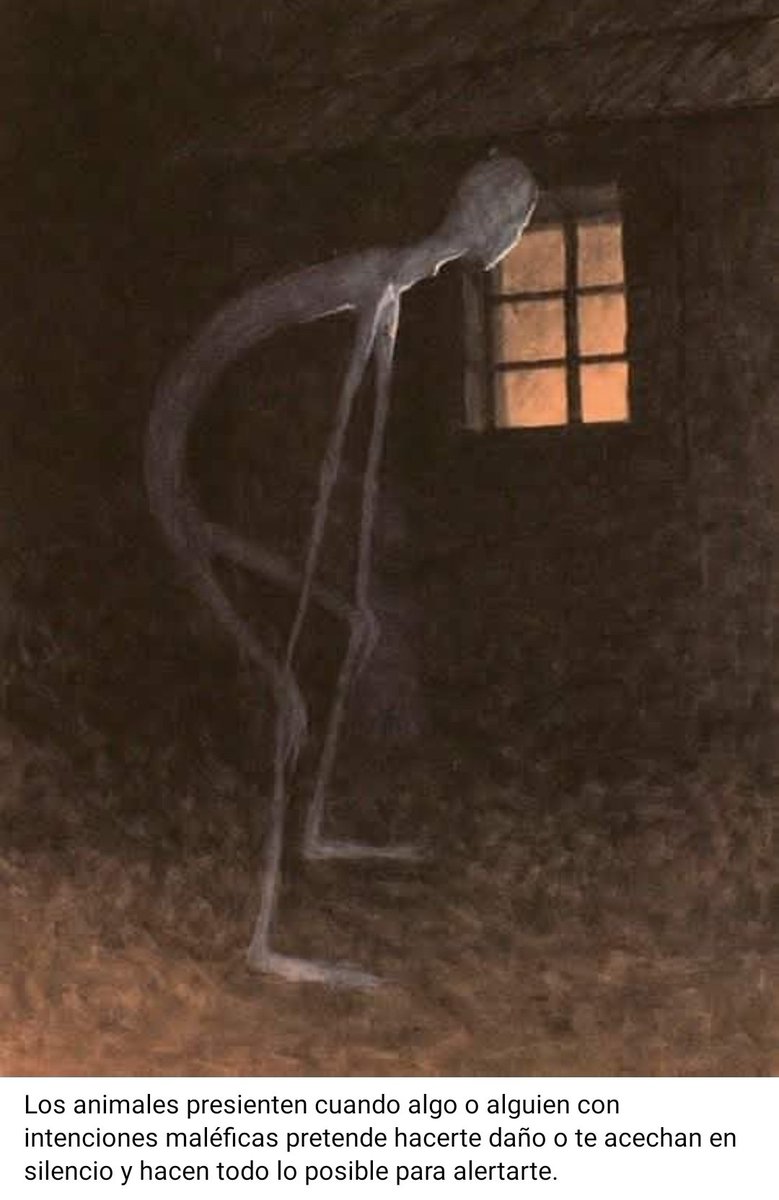 driabril7's tweet image. Abro hilo 🧵 Datos Perturbadores 👹🖤

Imágenes paranormales&amp;lt;33