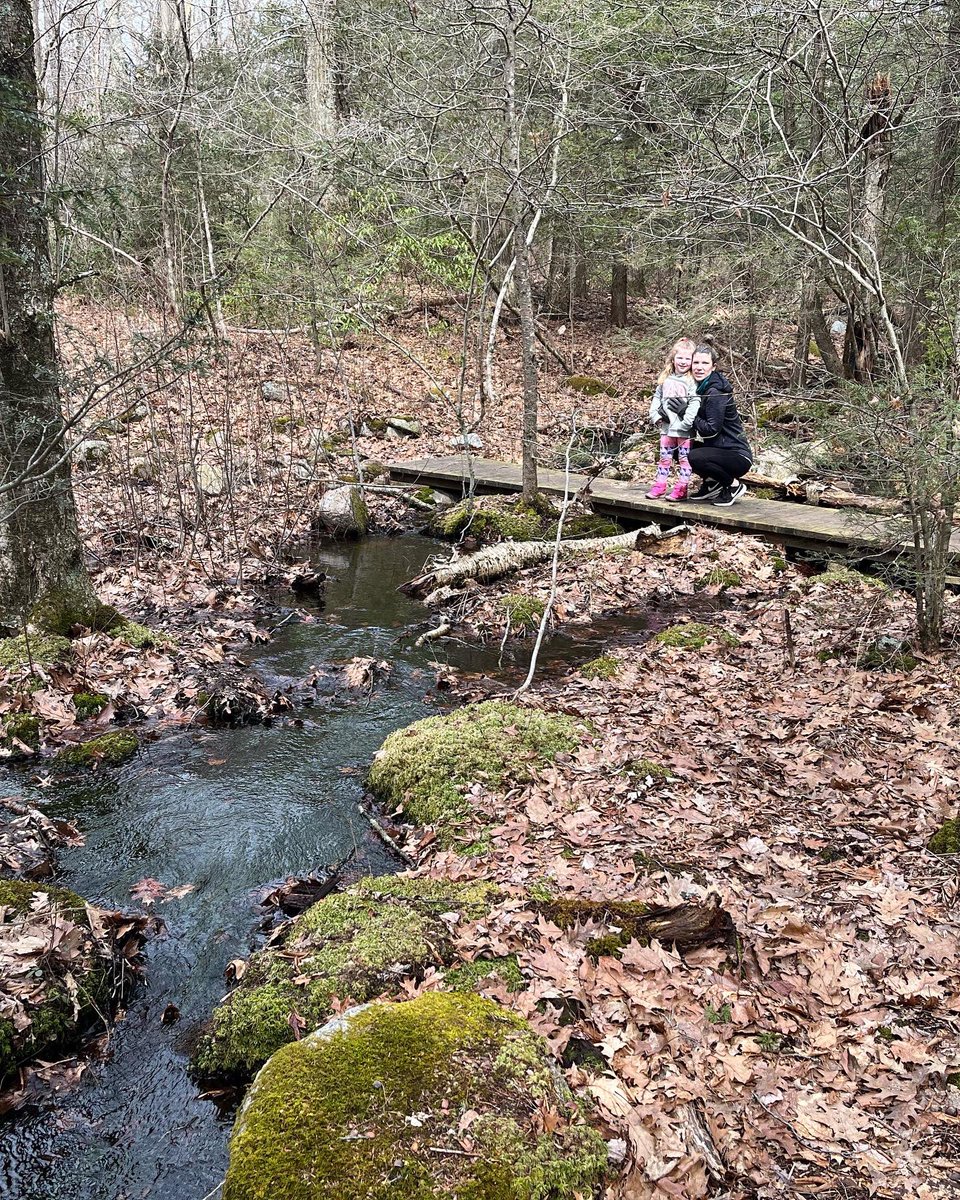 chrislb104's tweet photo. Walkaboutit trail. Had the warm spring feel and smell. @RIStateParks #walkaboutit #ritrails https://t.co/CkWIHcAfpB
